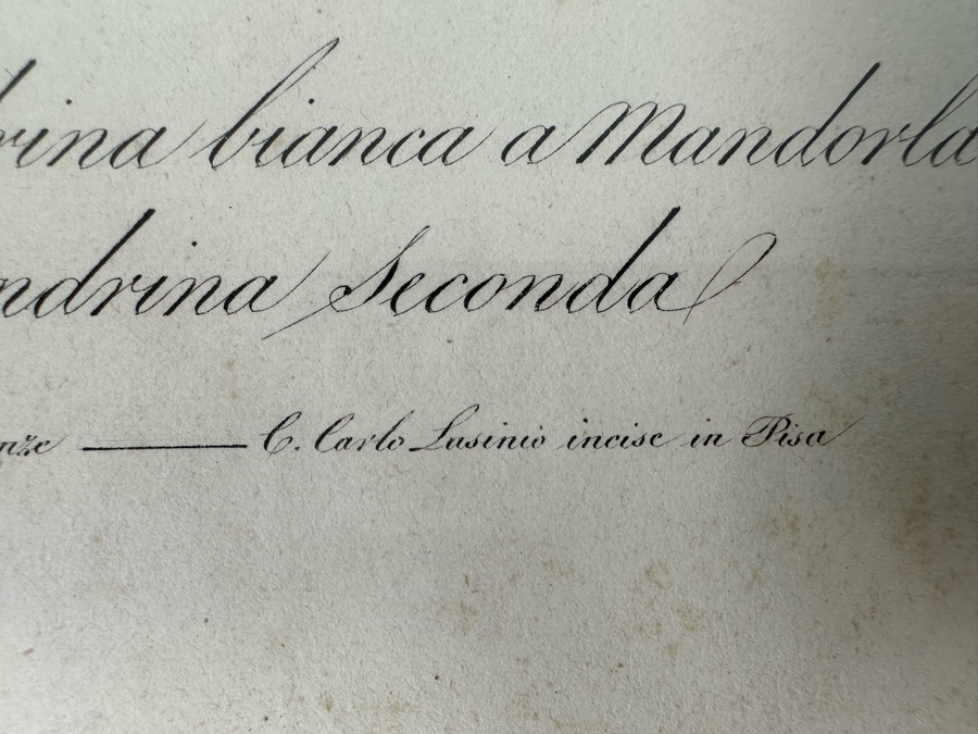 Giorgio Gallesio (1772-1839, Italian Botanist) Pomona Italiana, Ossia Trattato Degli Alberi Fruttiferi (Treatise On Fruit Trees) Original Antique Hand-Colored Engraving From Folio Framed 13.5 X 19 RARE $600+ [Photo 11]