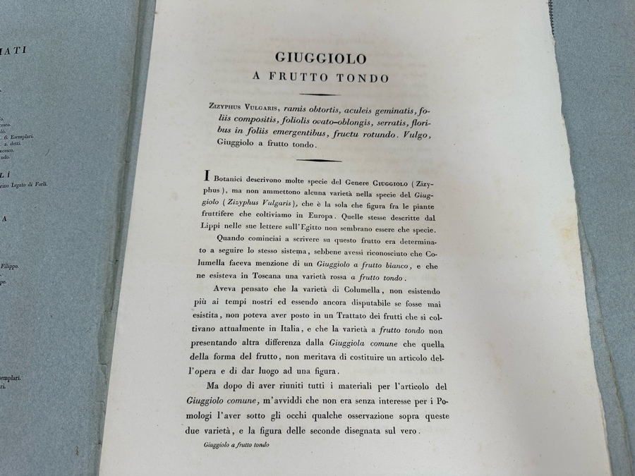 Giorgio’s Gallesio (1772-1839, Italian Botanist) Pomona Italiana, Ossia Trattato Degli Alberi Fruttiferi (Treatise On Fruit Trees) Original Antique Texts Describing Over 30 Fruit Varieties (Text Only / No Fruit Etchings) - See Photos [Photo 27]
