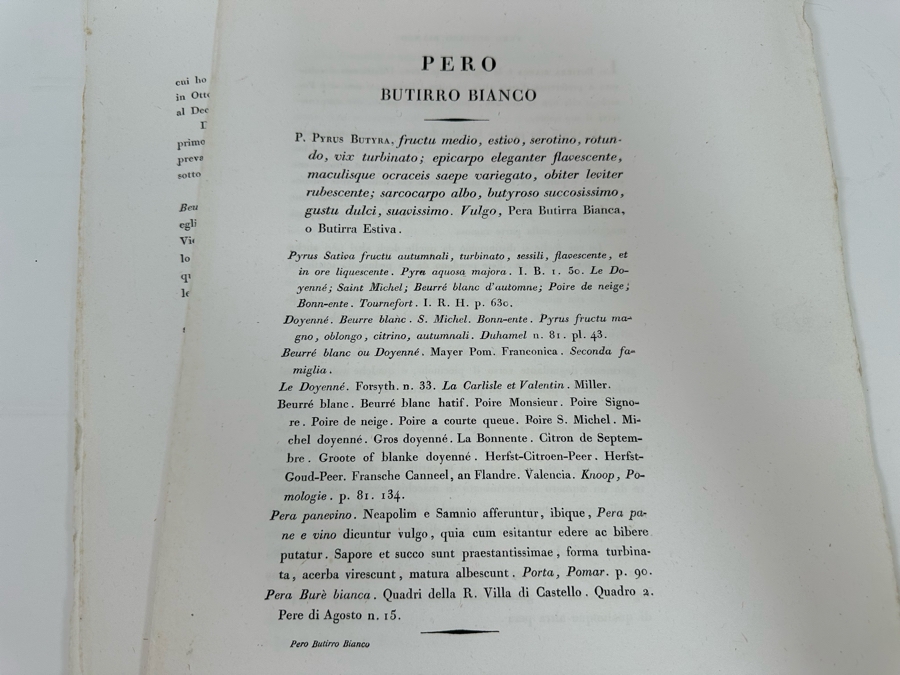 Giorgio’s Gallesio (1772-1839, Italian Botanist) Pomona Italiana, Ossia Trattato Degli Alberi Fruttiferi (Treatise On Fruit Trees) Original Antique Texts Describing Over 30 Fruit Varieties (Text Only / No Fruit Etchings) - See Photos [Photo 38]