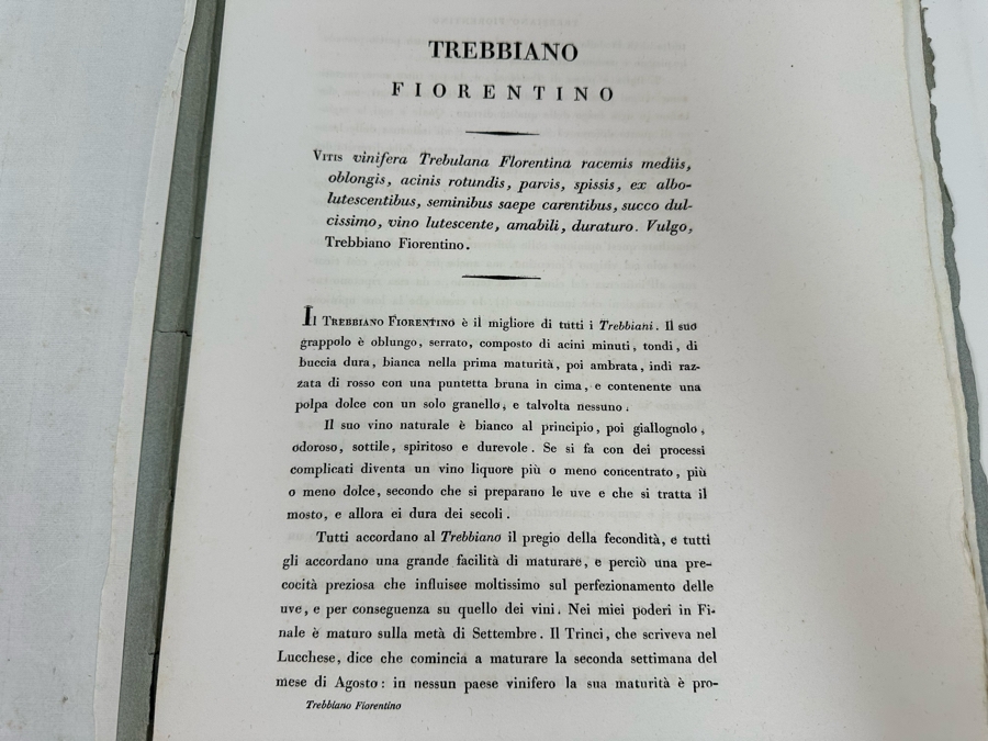 Giorgio’s Gallesio (1772-1839, Italian Botanist) Pomona Italiana, Ossia Trattato Degli Alberi Fruttiferi (Treatise On Fruit Trees) Original Antique Texts Describing Over 30 Fruit Varieties (Text Only / No Fruit Etchings) - See Photos [Photo 30]