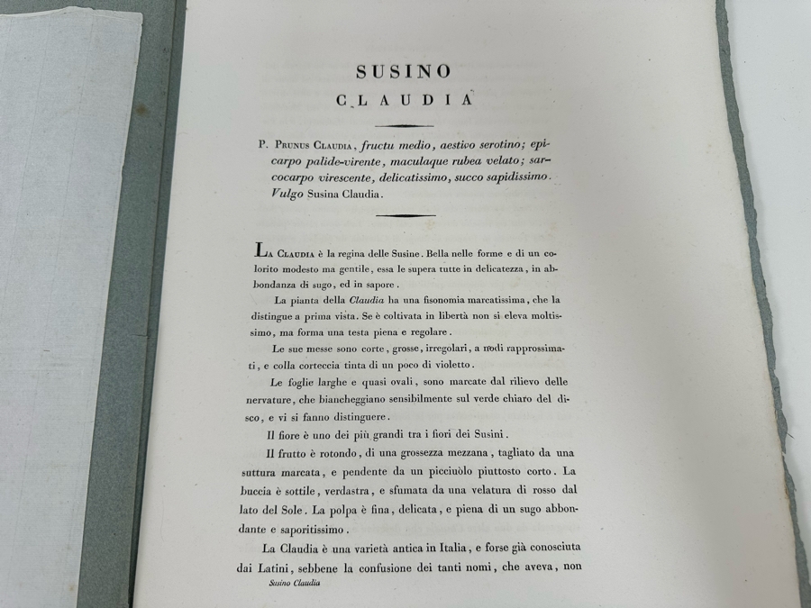 Giorgio’s Gallesio (1772-1839, Italian Botanist) Pomona Italiana, Ossia Trattato Degli Alberi Fruttiferi (Treatise On Fruit Trees) Original Antique Texts Describing Over 30 Fruit Varieties (Text Only / No Fruit Etchings) - See Photos [Photo 29]