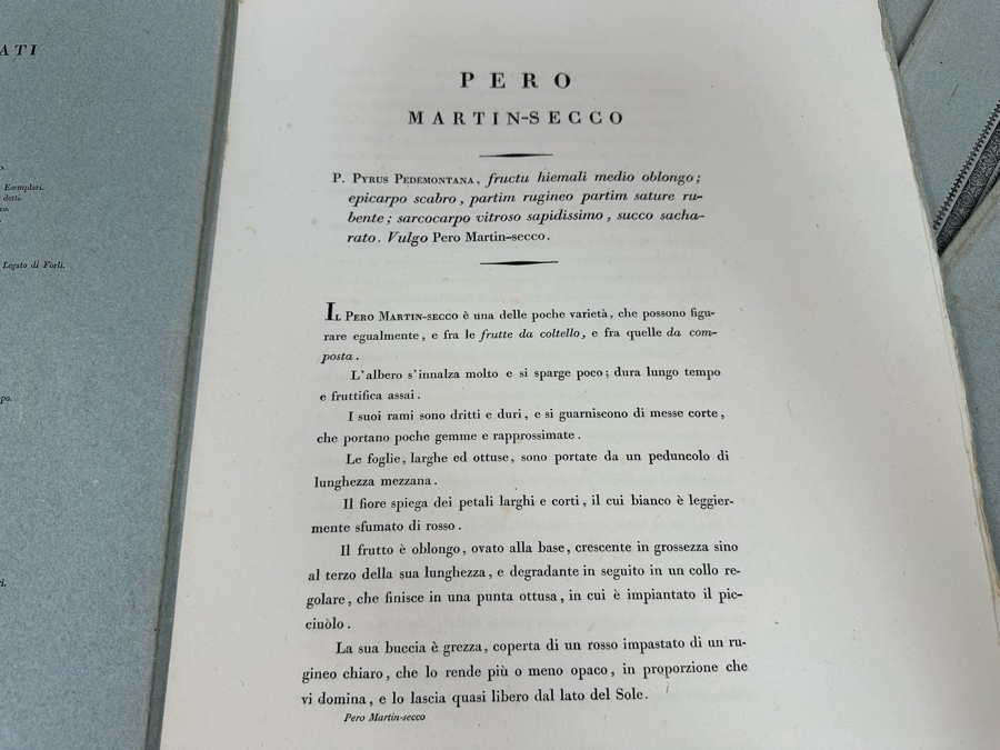 Giorgio’s Gallesio (1772-1839, Italian Botanist) Pomona Italiana, Ossia Trattato Degli Alberi Fruttiferi (Treatise On Fruit Trees) Original Antique Texts Describing Over 30 Fruit Varieties (Text Only / No Fruit Etchings) - See Photos [Photo 18]