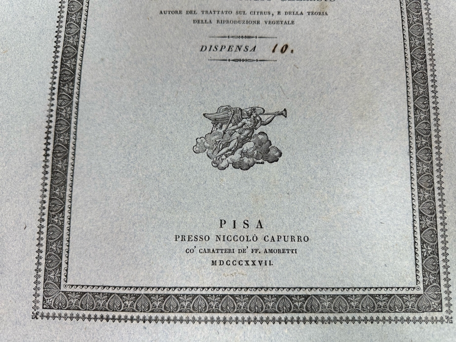 Giorgio’s Gallesio (1772-1839, Italian Botanist) Pomona Italiana, Ossia Trattato Degli Alberi Fruttiferi (Treatise On Fruit Trees) Original Antique Texts Describing Over 30 Fruit Varieties (Text Only / No Fruit Etchings) - See Photos [Photo 4]