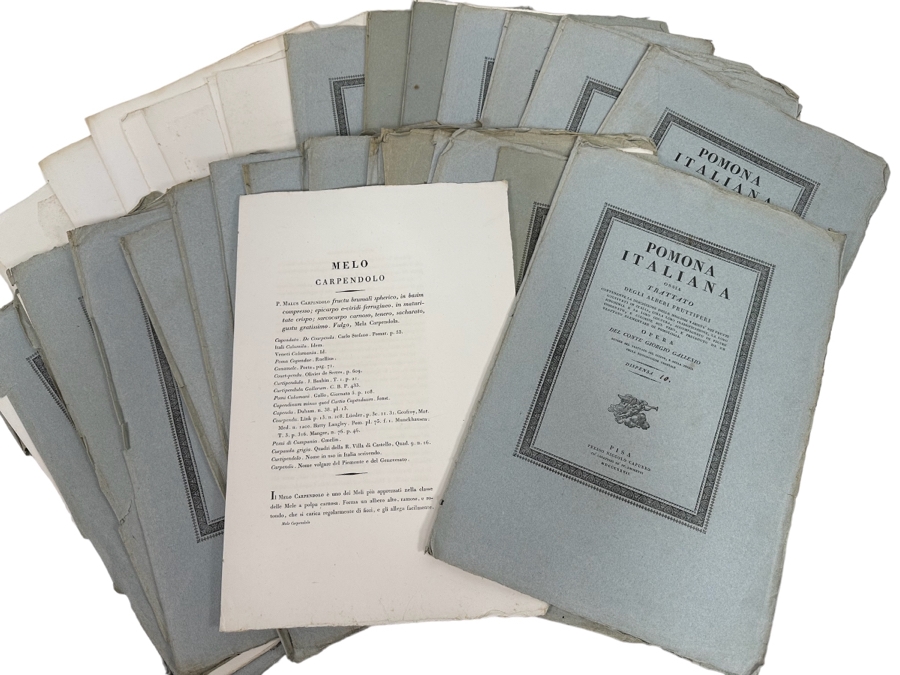Giorgio’s Gallesio (1772-1839, Italian Botanist) Pomona Italiana, Ossia Trattato Degli Alberi Fruttiferi (Treatise On Fruit Trees) Original Antique Texts Describing Over 30 Fruit Varieties (Text Only / No Fruit Etchings) - See Photos [Photo 2]