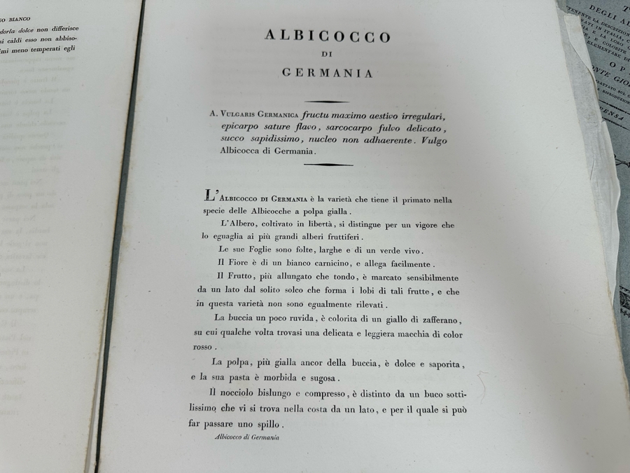 Giorgio’s Gallesio (1772-1839, Italian Botanist) Pomona Italiana, Ossia Trattato Degli Alberi Fruttiferi (Treatise On Fruit Trees) Original Antique Texts Describing Over 30 Fruit Varieties (Text Only / No Fruit Etchings) - See Photos [Photo 13]