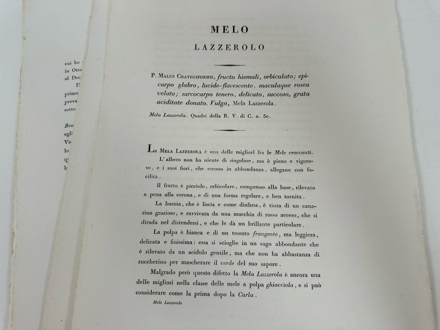 Giorgio’s Gallesio (1772-1839, Italian Botanist) Pomona Italiana, Ossia Trattato Degli Alberi Fruttiferi (Treatise On Fruit Trees) Original Antique Texts Describing Over 30 Fruit Varieties (Text Only / No Fruit Etchings) - See Photos [Photo 37]