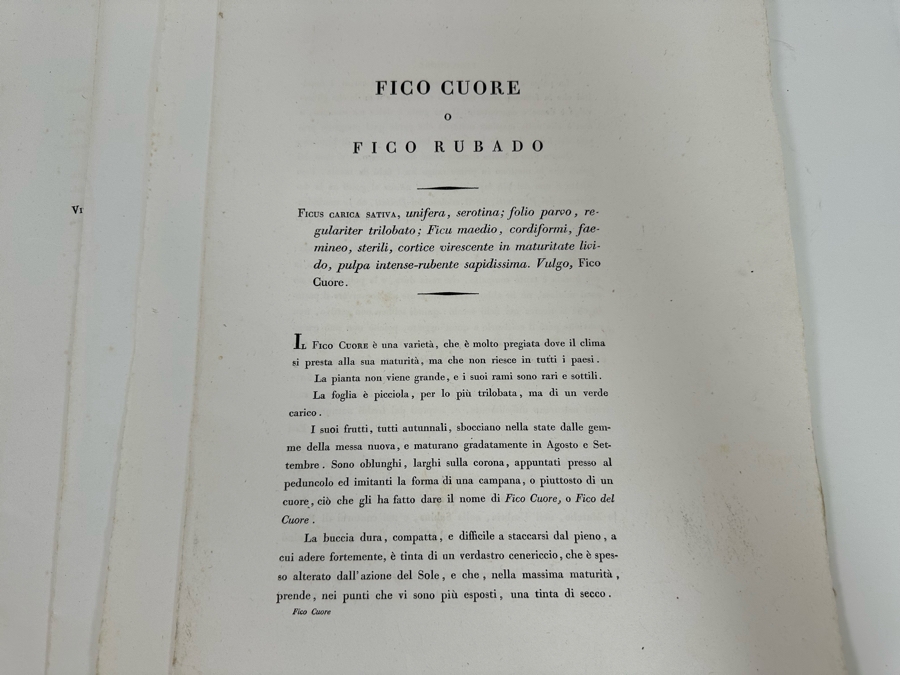 Giorgio’s Gallesio (1772-1839, Italian Botanist) Pomona Italiana, Ossia Trattato Degli Alberi Fruttiferi (Treatise On Fruit Trees) Original Antique Texts Describing Over 30 Fruit Varieties (Text Only / No Fruit Etchings) - See Photos [Photo 33]