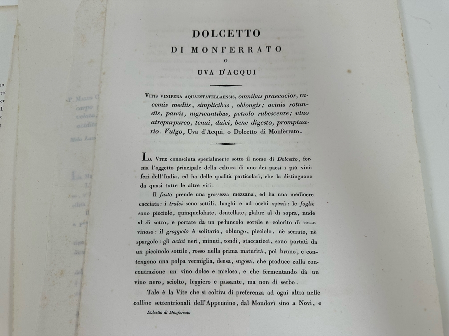 Giorgio’s Gallesio (1772-1839, Italian Botanist) Pomona Italiana, Ossia Trattato Degli Alberi Fruttiferi (Treatise On Fruit Trees) Original Antique Texts Describing Over 30 Fruit Varieties (Text Only / No Fruit Etchings) - See Photos [Photo 36]
