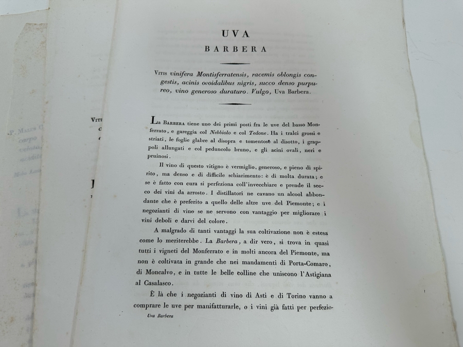 Giorgio’s Gallesio (1772-1839, Italian Botanist) Pomona Italiana, Ossia Trattato Degli Alberi Fruttiferi (Treatise On Fruit Trees) Original Antique Texts Describing Over 30 Fruit Varieties (Text Only / No Fruit Etchings) - See Photos [Photo 35]