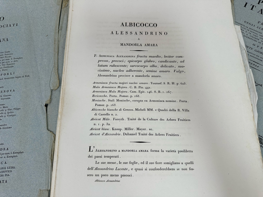 Giorgio’s Gallesio (1772-1839, Italian Botanist) Pomona Italiana, Ossia Trattato Degli Alberi Fruttiferi (Treatise On Fruit Trees) Original Antique Texts Describing Over 30 Fruit Varieties (Text Only / No Fruit Etchings) - See Photos [Photo 11]