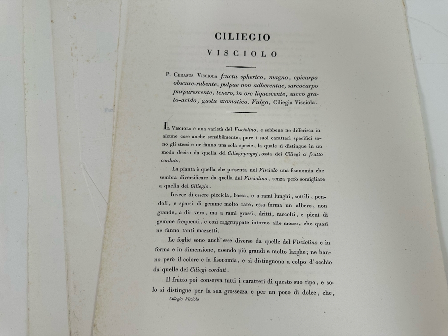 Giorgio’s Gallesio (1772-1839, Italian Botanist) Pomona Italiana, Ossia Trattato Degli Alberi Fruttiferi (Treatise On Fruit Trees) Original Antique Texts Describing Over 30 Fruit Varieties (Text Only / No Fruit Etchings) - See Photos [Photo 32]
