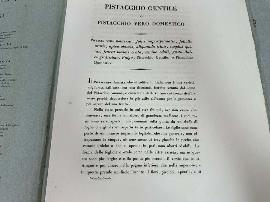 Giorgio’s Gallesio (1772-1839, Italian Botanist) Pomona Italiana, Ossia Trattato Degli Alberi Fruttiferi (Treatise On Fruit Trees) Original Antique Texts Describing Over 30 Fruit Varieties (Text Only / No Fruit Etchings) - See Photos [Photo 9]