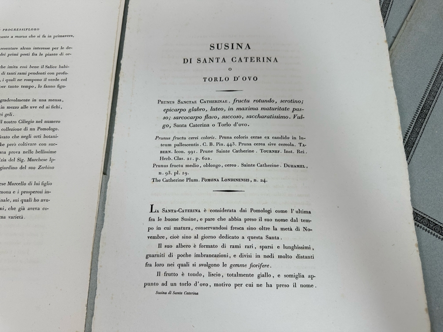 Giorgio’s Gallesio (1772-1839, Italian Botanist) Pomona Italiana, Ossia Trattato Degli Alberi Fruttiferi (Treatise On Fruit Trees) Original Antique Texts Describing Over 30 Fruit Varieties (Text Only / No Fruit Etchings) - See Photos [Photo 22]