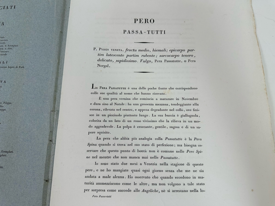 Giorgio’s Gallesio (1772-1839, Italian Botanist) Pomona Italiana, Ossia Trattato Degli Alberi Fruttiferi (Treatise On Fruit Trees) Original Antique Texts Describing Over 30 Fruit Varieties (Text Only / No Fruit Etchings) - See Photos [Photo 31]