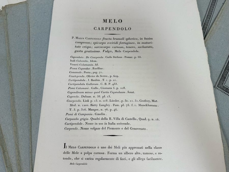 Giorgio’s Gallesio (1772-1839, Italian Botanist) Pomona Italiana, Ossia Trattato Degli Alberi Fruttiferi (Treatise On Fruit Trees) Original Antique Texts Describing Over 30 Fruit Varieties (Text Only / No Fruit Etchings) - See Photos [Photo 17]