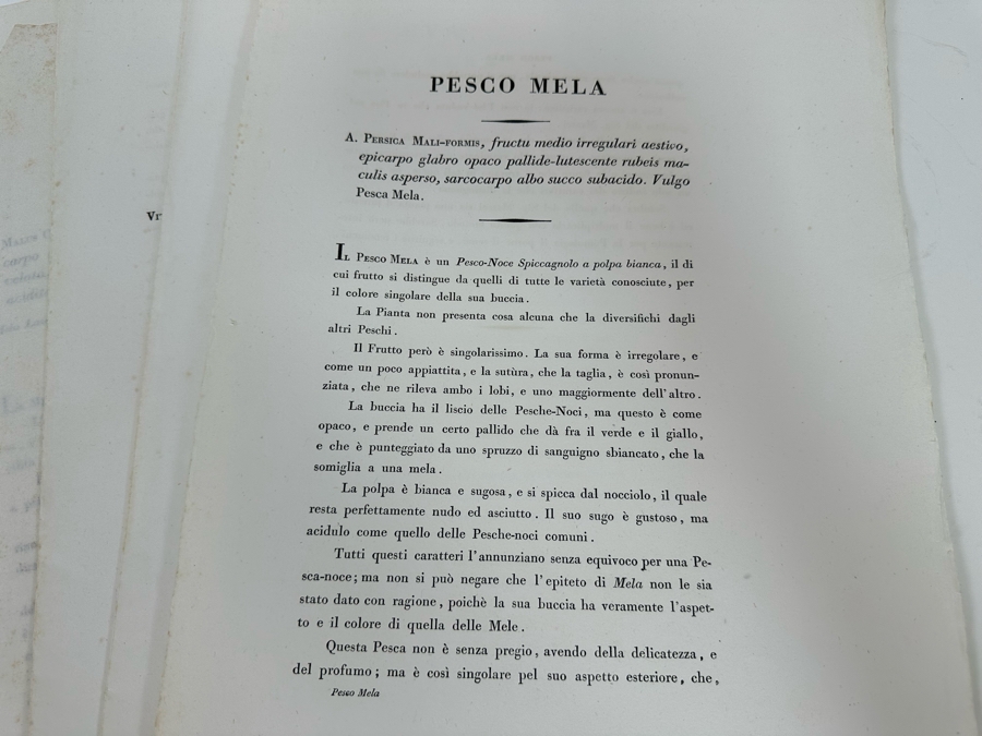 Giorgio’s Gallesio (1772-1839, Italian Botanist) Pomona Italiana, Ossia Trattato Degli Alberi Fruttiferi (Treatise On Fruit Trees) Original Antique Texts Describing Over 30 Fruit Varieties (Text Only / No Fruit Etchings) - See Photos [Photo 34]