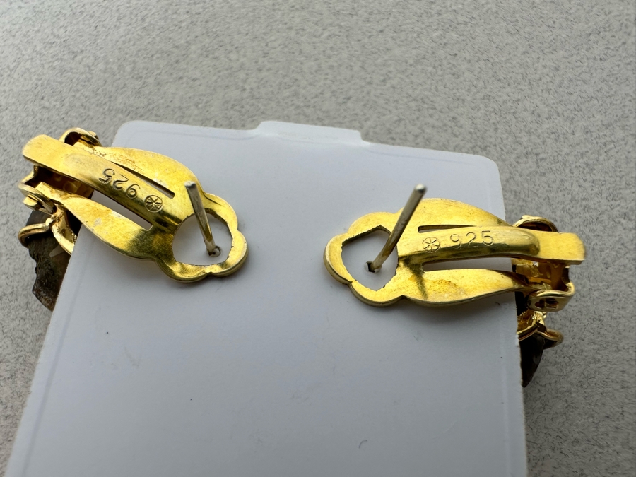 Natural Ammonite Sterling Silver Earrings [Photo 4]