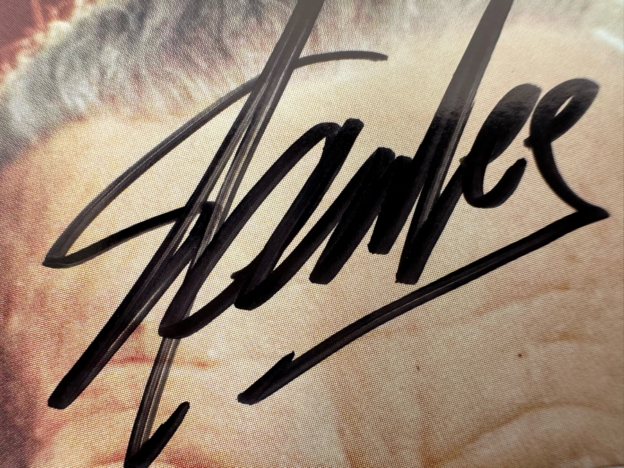 SIGNED Stan Lee Anaheim Comic Con Program [Photo 11]