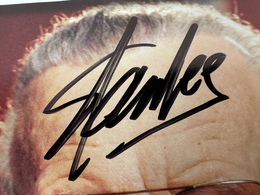 SIGNED Stan Lee Anaheim Comic Con Program [Photo 10]