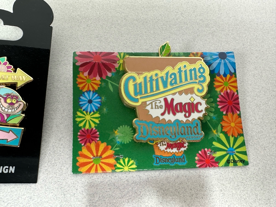 Collection Of Vintage Disneyland Trading Pins New On Cards [Photo 14]