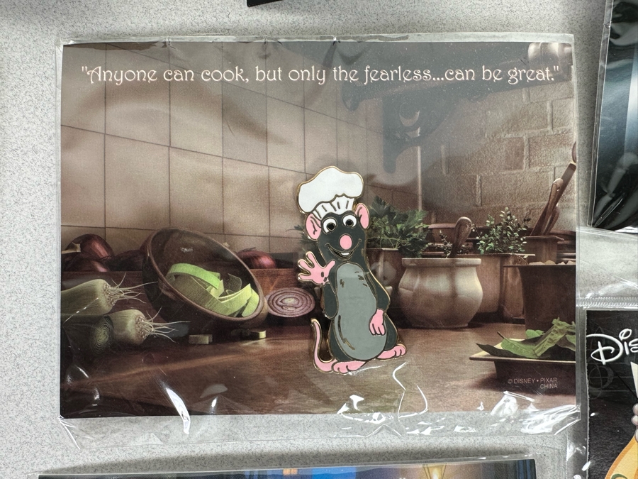 Collection Of Vintage Disneyland Trading Pins New On Cards [Photo 13]