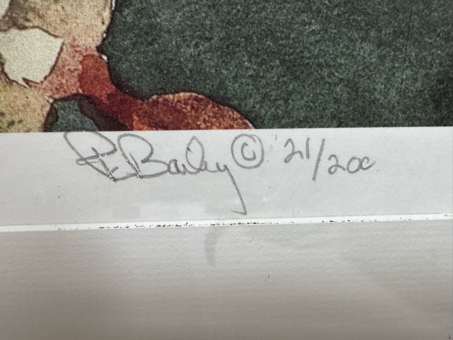 Hand Signed Limited Edition Red Hibiscus Flower Print By Peter C. Bailey 41.5 X 30 In Nice Wooden Bamboo Motif Frame 51.5 X 39.5 [Photo 4]