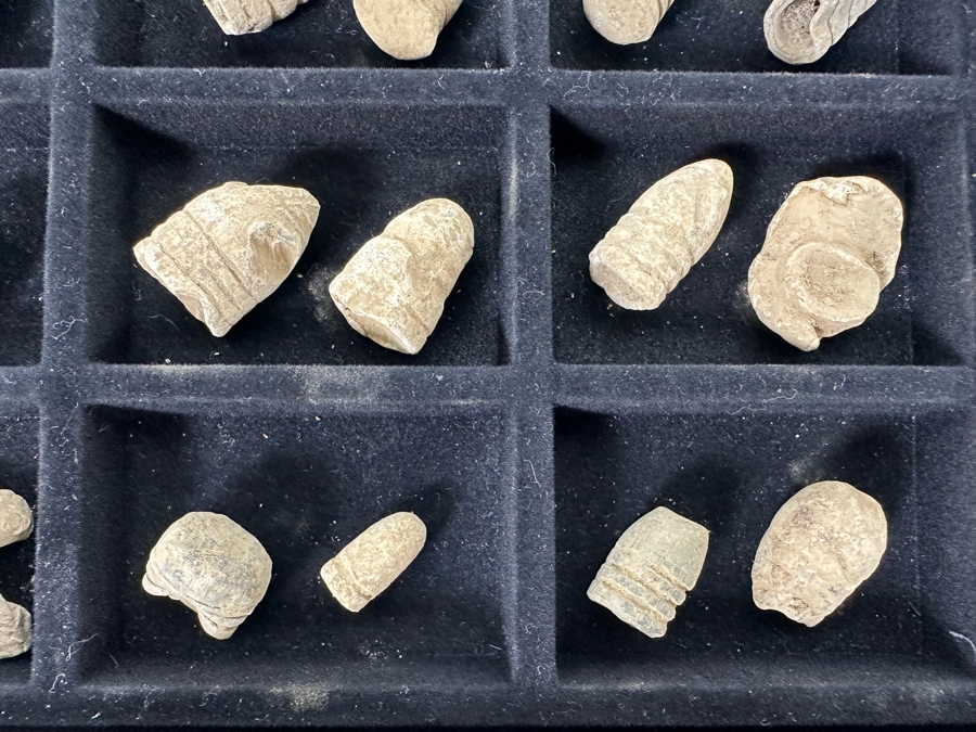 Found Civil War Battlefield Bullets From Perryville Battlefield And Camp Nelson In Kentucky [Photo 8]