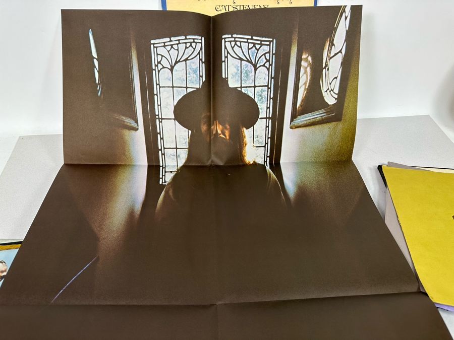 Vintage Vinyl Records: The Story Of Star Wars, Johnny Cash, George Harrison, Fleetwood Mac, Cat Stevens, Love [Photo 23]