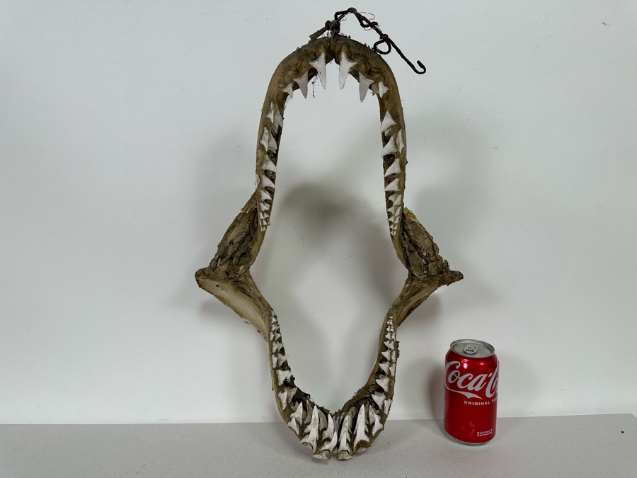 Vintage Shark Jaws 14W X 19H [Photo 3]