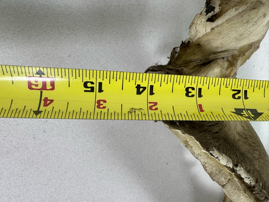 Vintage Shark Jaws 14W X 19H [Photo 13]