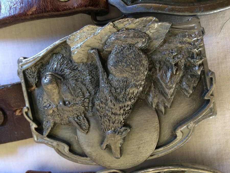 Belt Buckle / Belt Lot [Photo 5]