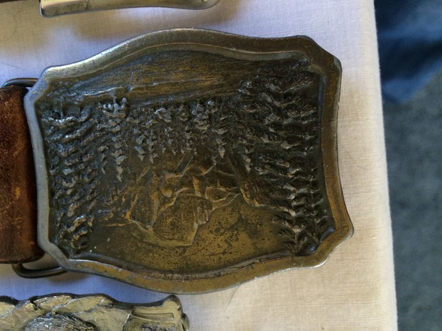 Belt Buckle / Belt Lot [Photo 6]