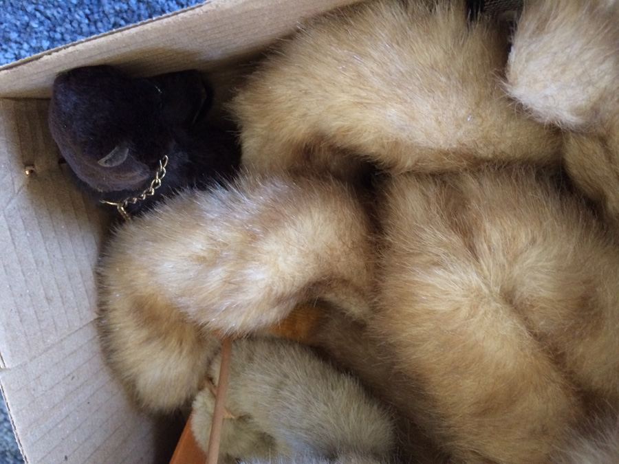 Toy Bear Lot - One Large Vintage Bear with Button Eyes [Photo 9]