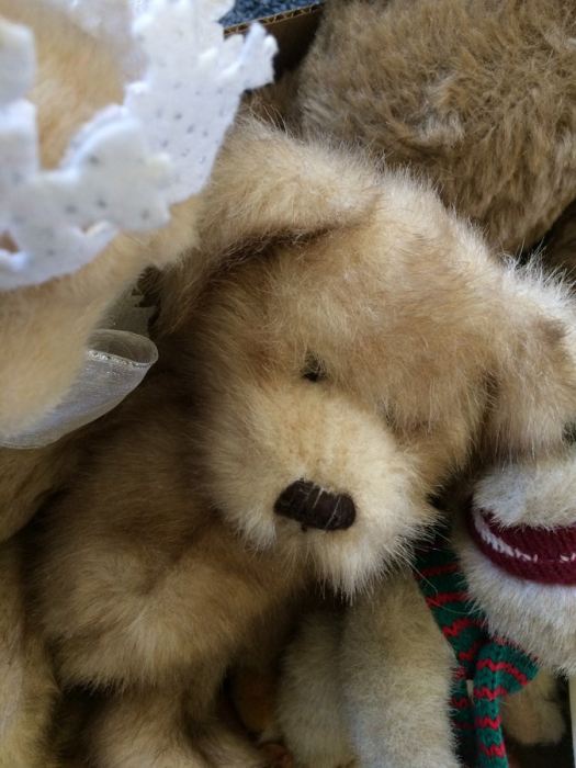 Toy Bear Lot - One Large Vintage Bear with Button Eyes [Photo 7]