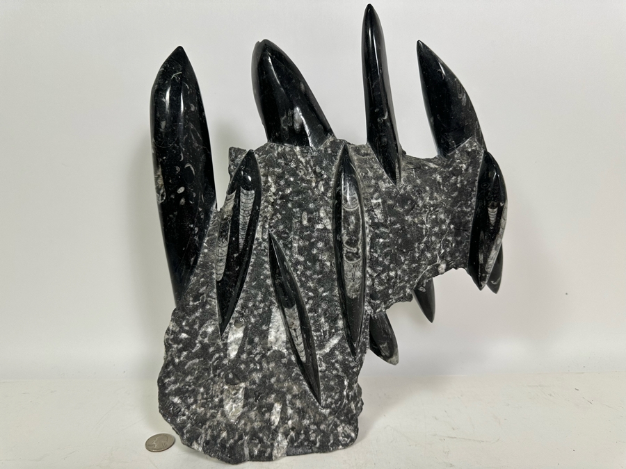 Large Polished Fossilized Orthoceras Organic Sculpture 12W X 14H [Photo 9]