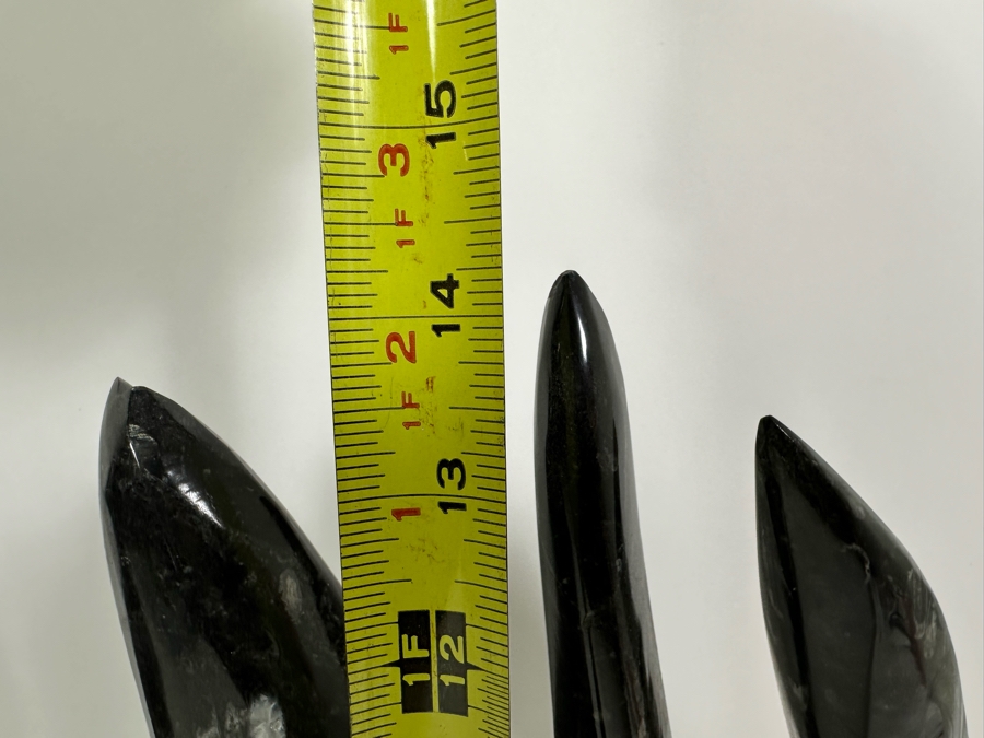 Large Polished Fossilized Orthoceras Organic Sculpture 12W X 14H [Photo 10]