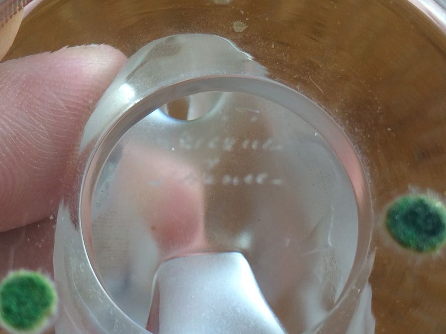 Lalique France Frosted Swan [Photo 3]