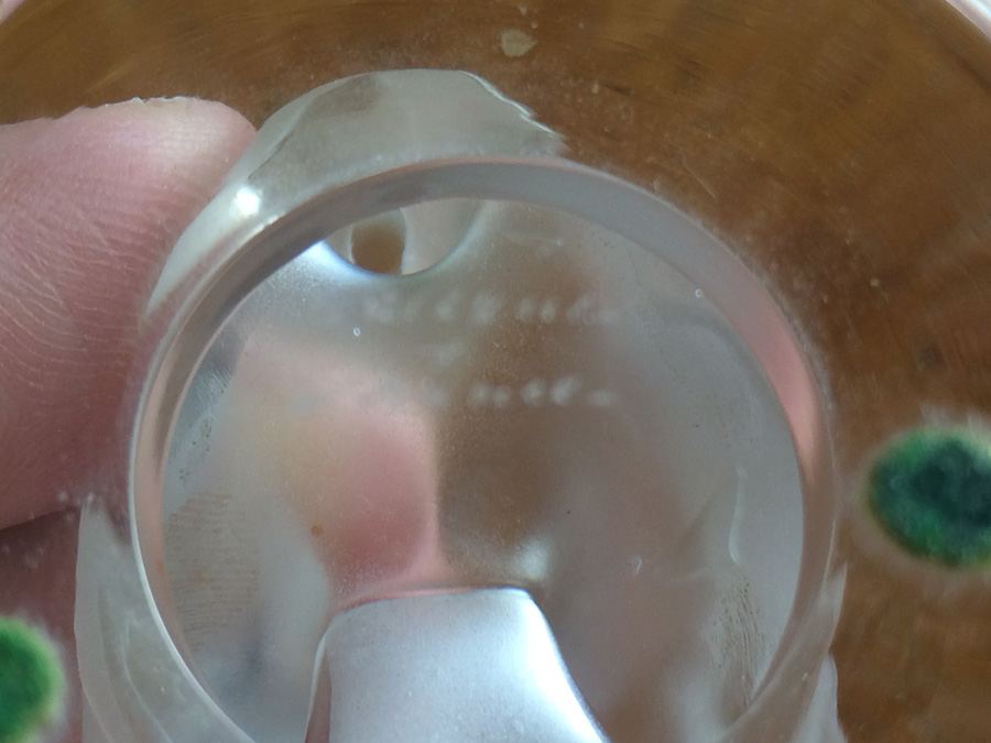 Lalique France Frosted Swan [Photo 10]