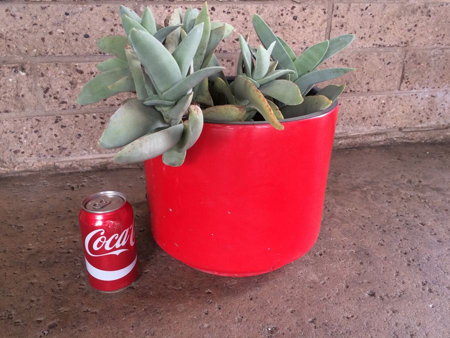 Red California Pottery USA 11' with Succulent Plant [Photo 3]