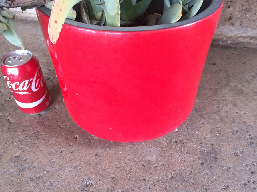 Red California Pottery USA 11' with Succulent Plant [Photo 11]
