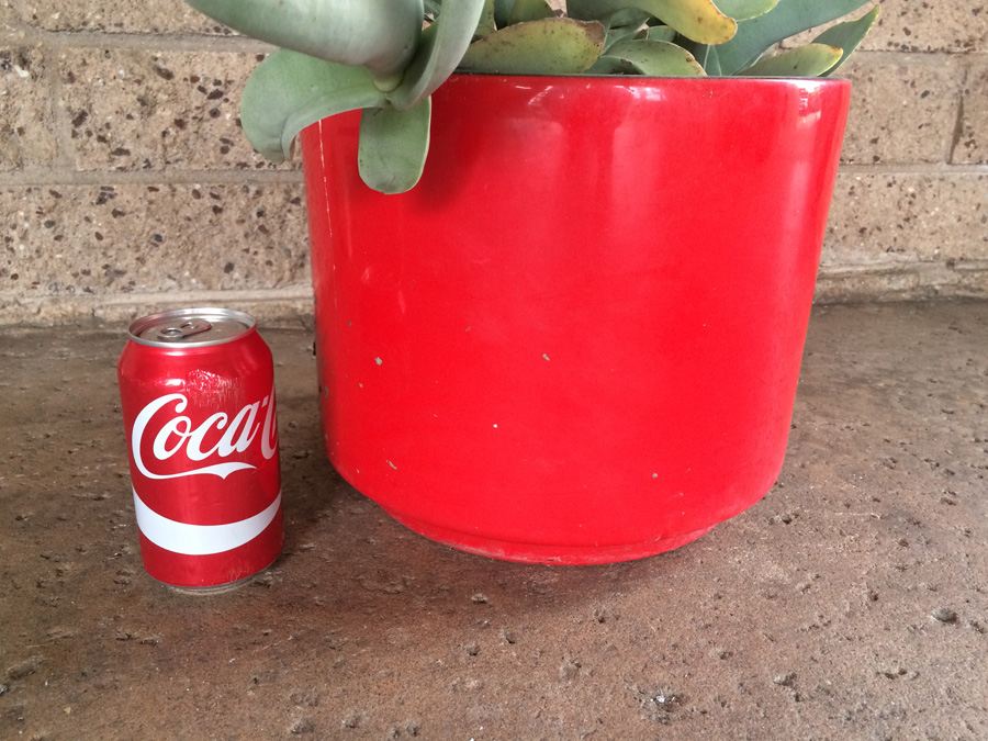 Red California Pottery USA 11' with Succulent Plant [Photo 9]
