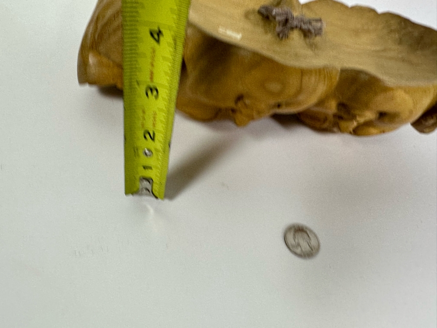 Relief Carved Wooden Indonesian Double Faces Wall Sculpture 12W X 8H X 3.5D [Photo 12]