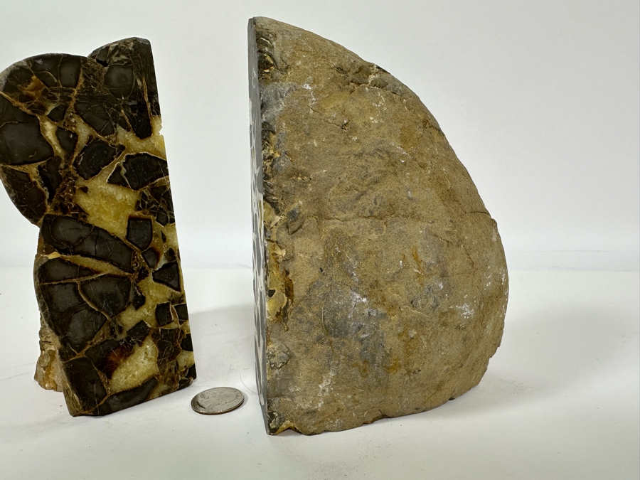 Polished Geode Septarian Bookends 5W X 5D X 6H [Photo 7]