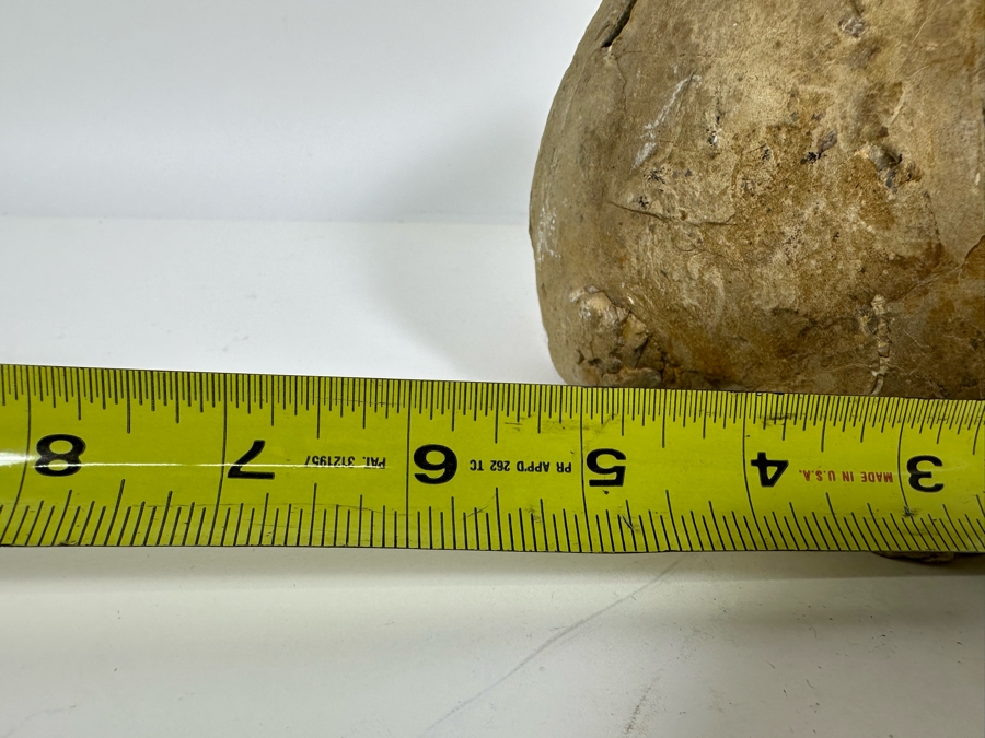 Polished Geode Septarian Bookends 5W X 5D X 6H [Photo 12]