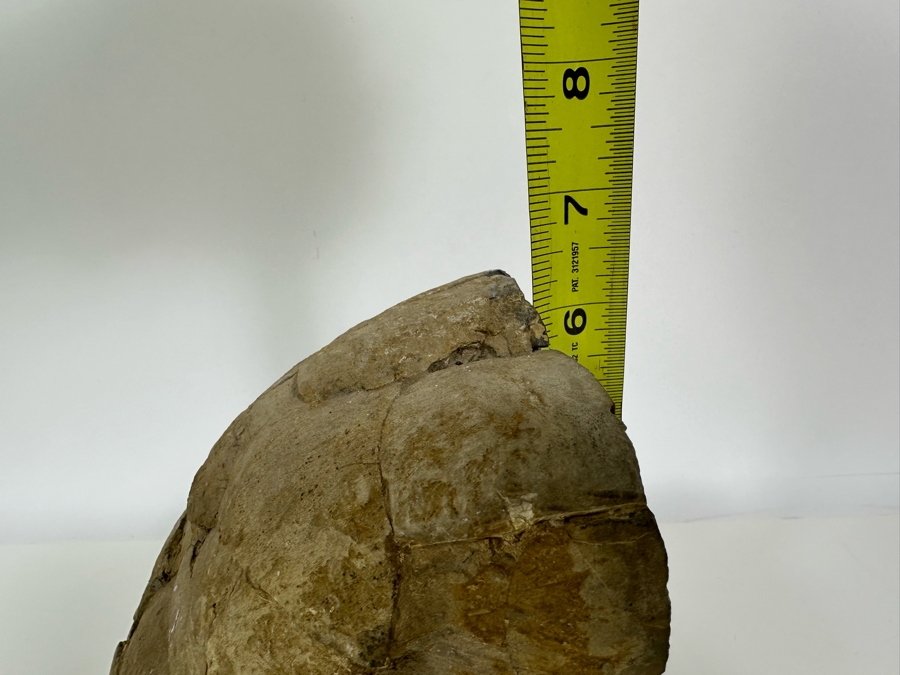 Polished Geode Septarian Bookends 5W X 5D X 6H [Photo 13]