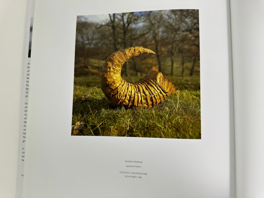 1990 First Edition Hardcover Book Andy Goldsworthy A Collaboration With Nature [Photo 7]