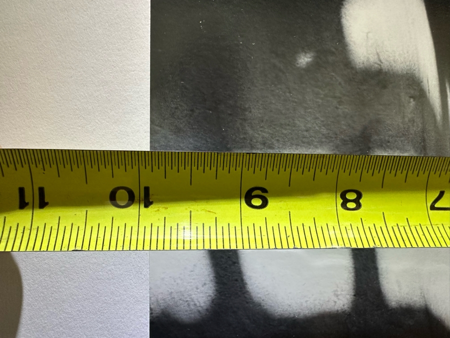 Johnny Donnels (1924-2009, New Orleans) Hand Signed Limited Edition B&W Cat Photograph Titled 'Lady In Waiting' 9 X 10 [Photo 10]