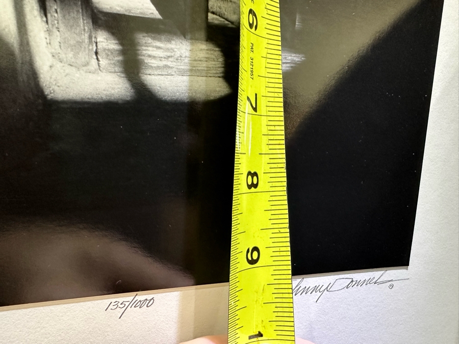 Johnny Donnels (1924-2009, New Orleans) Hand Signed Limited Edition B&W Cat Photograph Titled 'Lady In Waiting' 9 X 10 [Photo 9]