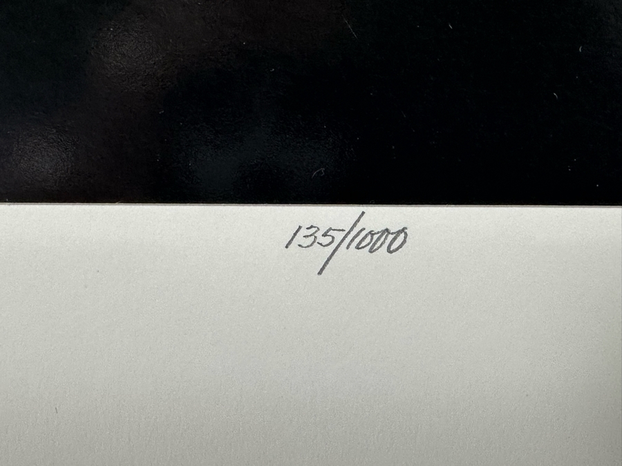 Johnny Donnels (1924-2009, New Orleans) Hand Signed Limited Edition B&W Cat Photograph Titled 'Lady In Waiting' 9 X 10 [Photo 6]