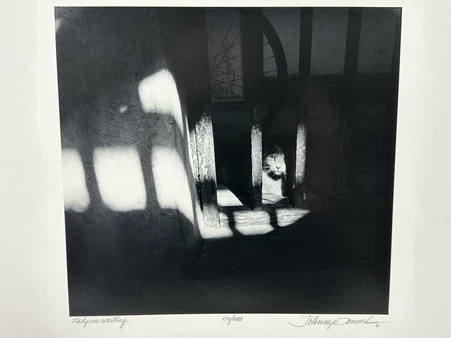 Johnny Donnels (1924-2009, New Orleans) Hand Signed Limited Edition B&W Cat Photograph Titled 'Lady In Waiting' 9 X 10 [Photo 2]